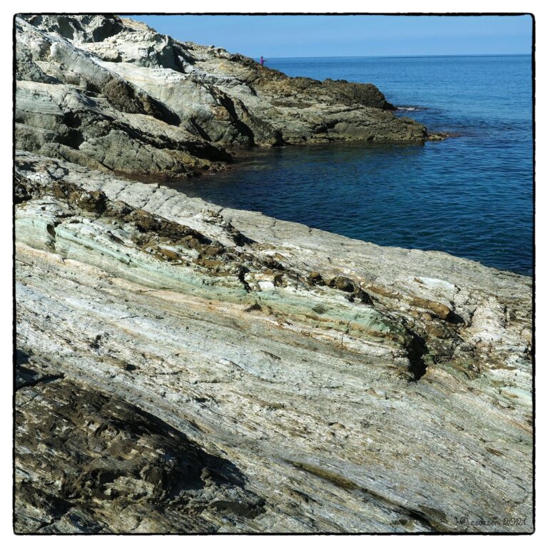 Corse